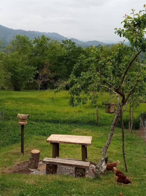 Casa Rural El Cotu En Onís Exteriér fotografie