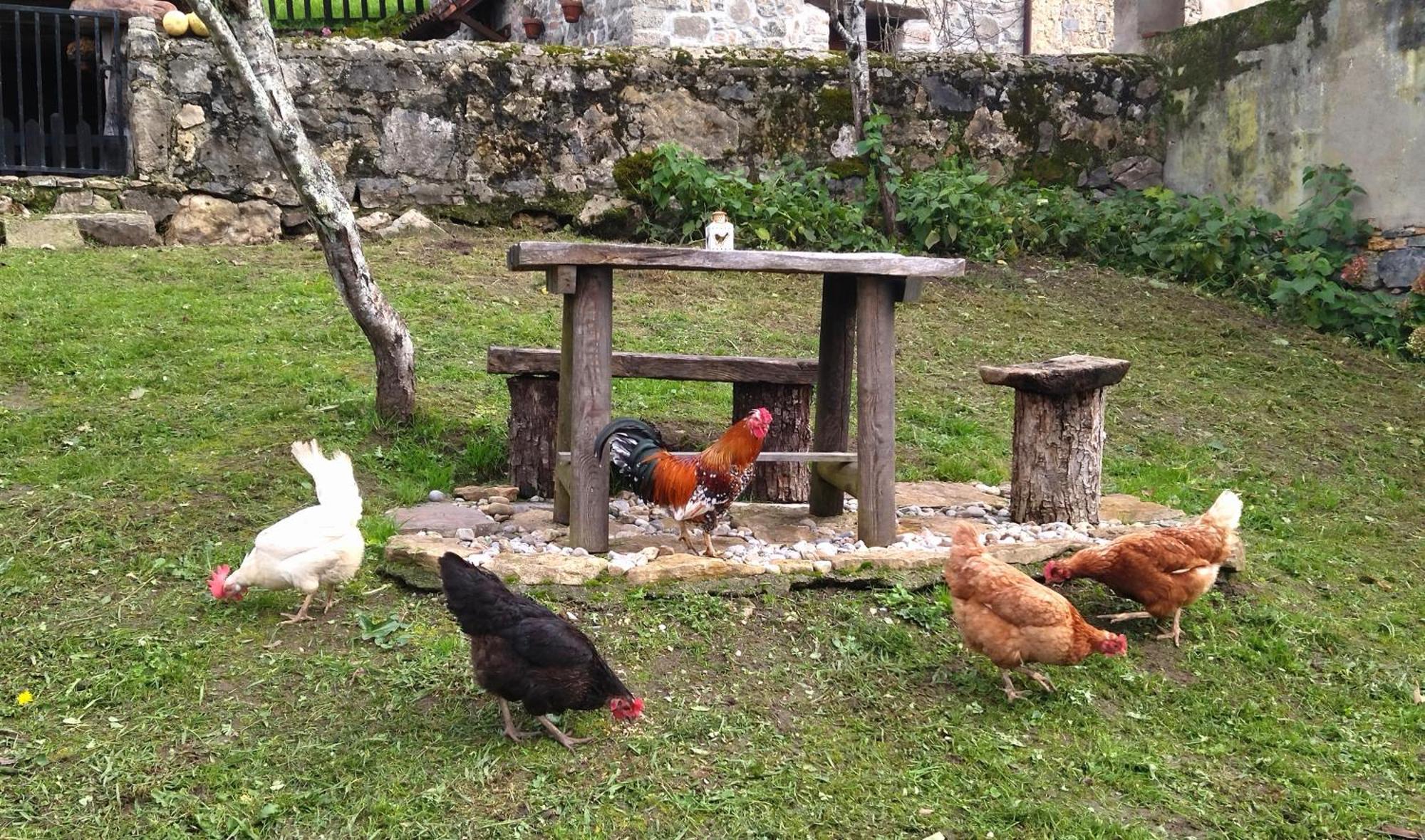 Casa Rural El Cotu En Onís Exteriér fotografie