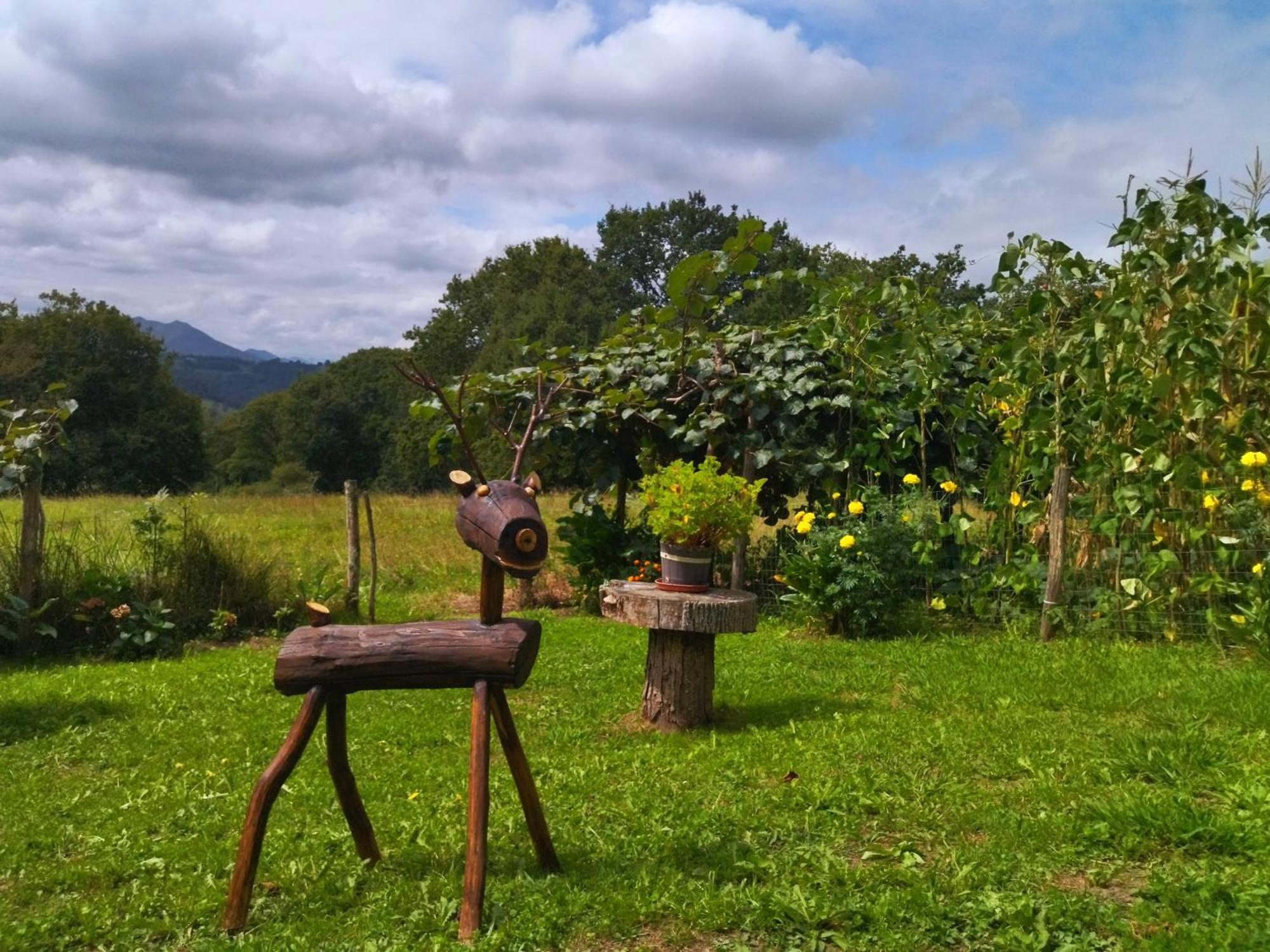 Casa Rural El Cotu En Onís Exteriér fotografie